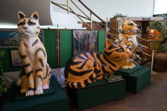 Kuching-Cat-Museum