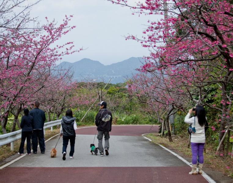 Top 10 lý do nên ghé Okinawa khi đi Nhật Bản