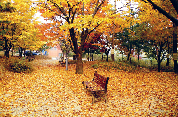 Seoul vào mùa thu